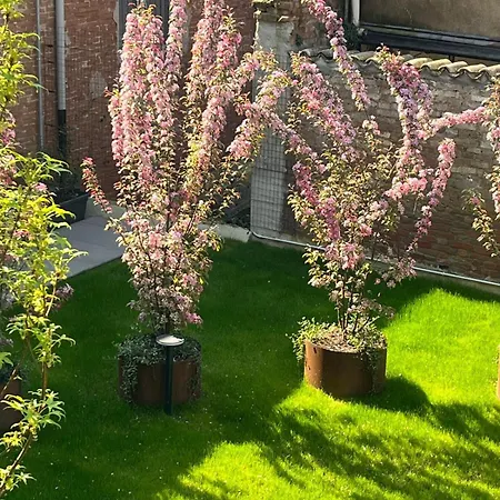 شقة فندقية Cremona Inn Aparthotel